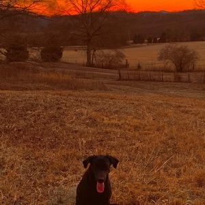 Meet your Posher, Coby